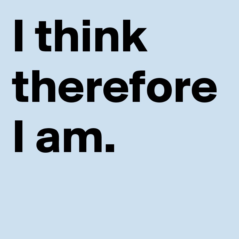 What Do You Mean By I Think Therefore I Am