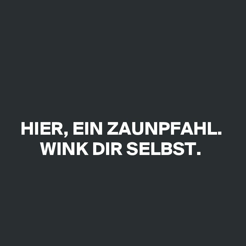 




HIER, EIN ZAUNPFAHL.
WINK DIR SELBST. 



