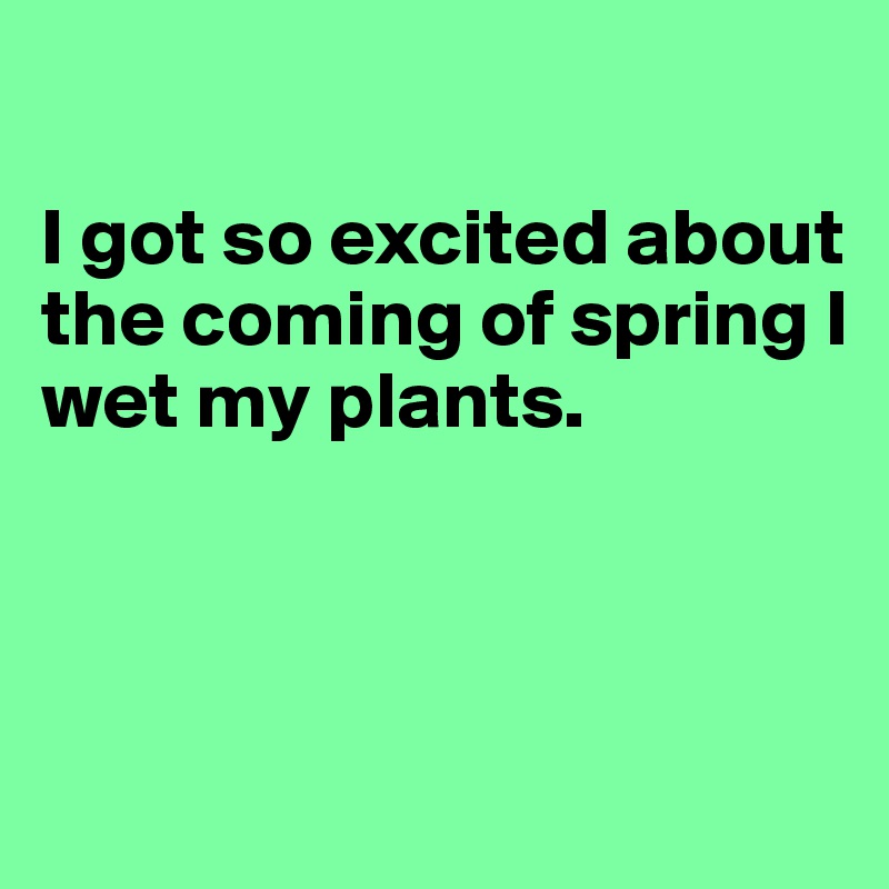  

I got so excited about the coming of spring I wet my plants.



