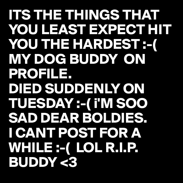 ITS THE THINGS THAT YOU LEAST EXPECT HIT YOU THE HARDEST :-(
MY DOG BUDDY  ON PROFILE.
DIED SUDDENLY ON TUESDAY :-( i'M SOO SAD DEAR BOLDIES.
I CANT POST FOR A WHILE :-(  LOL R.I.P.
BUDDY <3