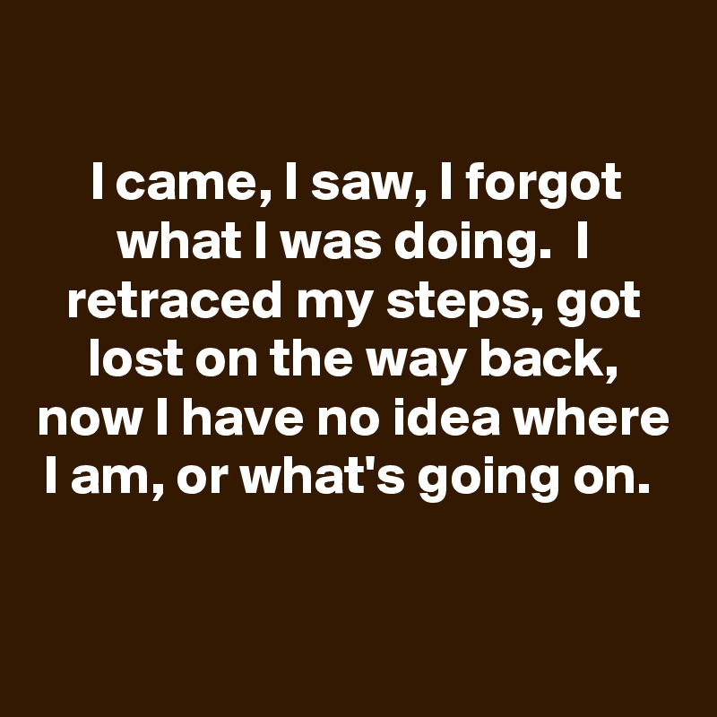 

I came, I saw, I forgot what I was doing.  I retraced my steps, got lost on the way back, now I have no idea where I am, or what's going on. 

