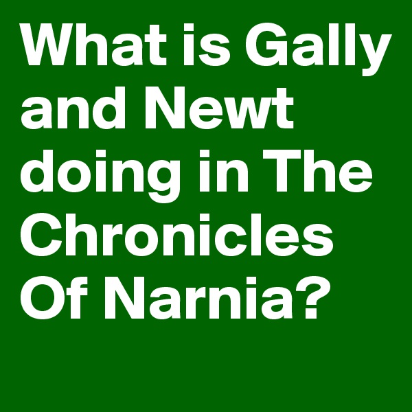 What is Gally and Newt doing in The Chronicles Of Narnia?
