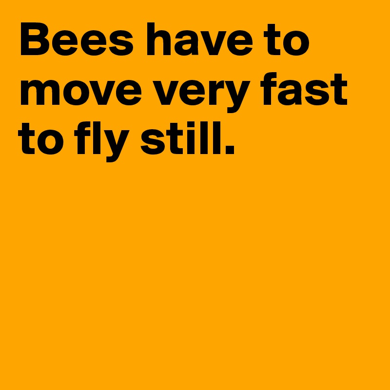 Bees have to move very fast to fly still. 



