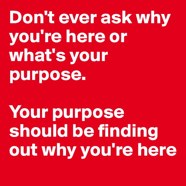 Don't ever ask why you're here or what's your purpose.

Your purpose should be finding out why you're here