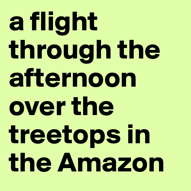 a flight through the afternoon over the treetops in the Amazon