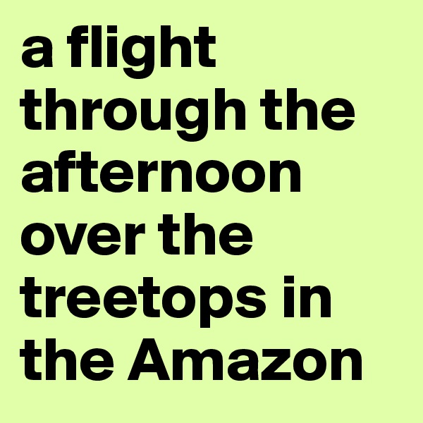 a flight through the afternoon over the treetops in the Amazon