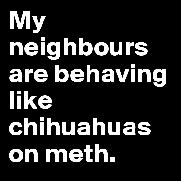 My neighbours are behaving like chihuahuas on meth.