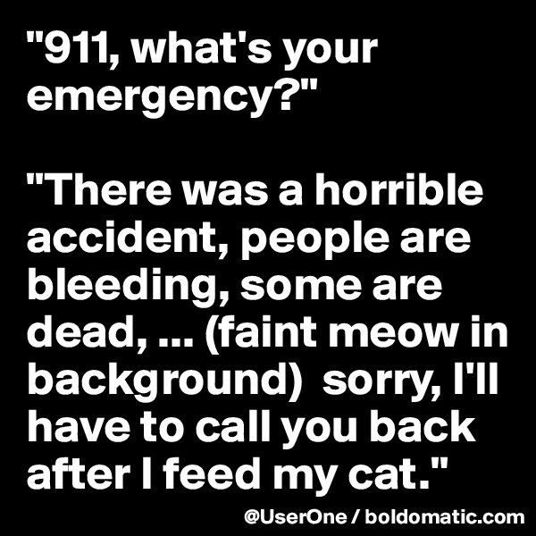 "911, what's your emergency?"

"There was a horrible accident, people are bleeding, some are dead, ... (faint meow in background)  sorry, I'll have to call you back after I feed my cat."