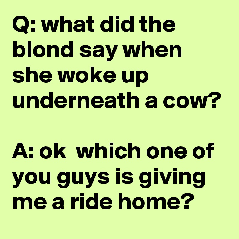 Q: what did the blond say when she woke up underneath a cow?

A: ok  which one of you guys is giving me a ride home?