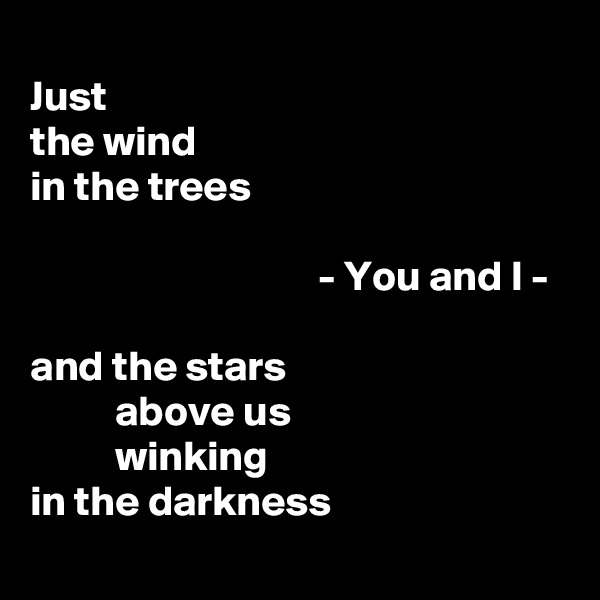 
Just
the wind
in the trees

                                  - You and I -

and the stars
          above us
          winking
in the darkness
