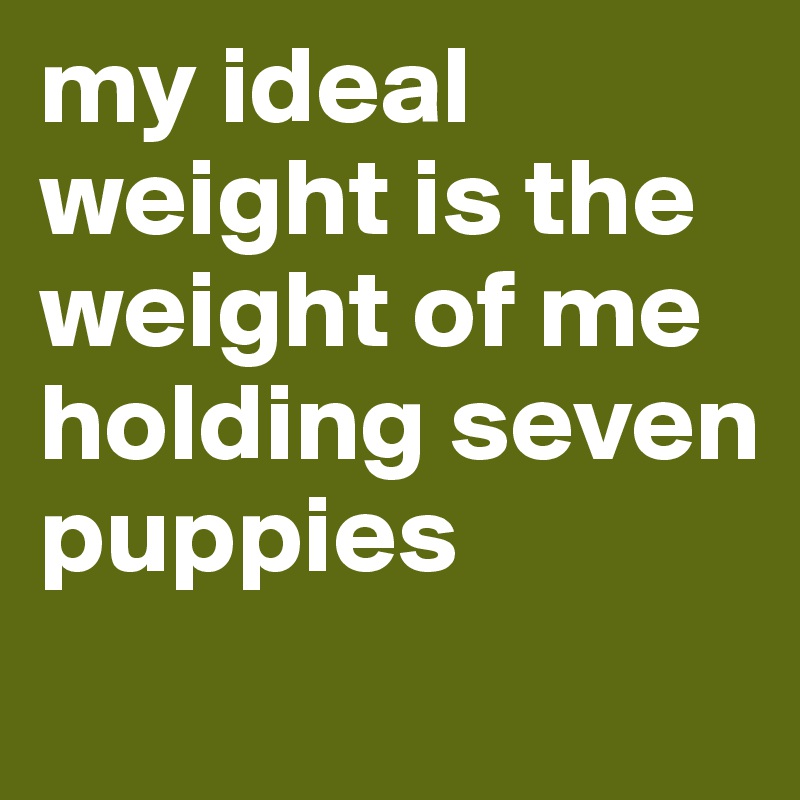 my ideal weight is the weight of me holding seven puppies 
