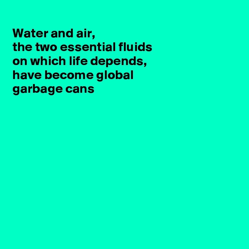 
Water and air, 
the two essential fluids
on which life depends,
have become global 
garbage cans 









