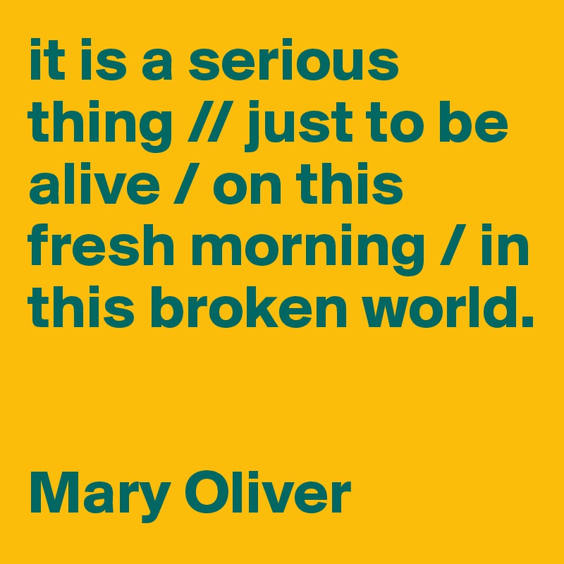 it is a serious thing // just to be alive / on this fresh morning / in this broken world.


Mary Oliver 