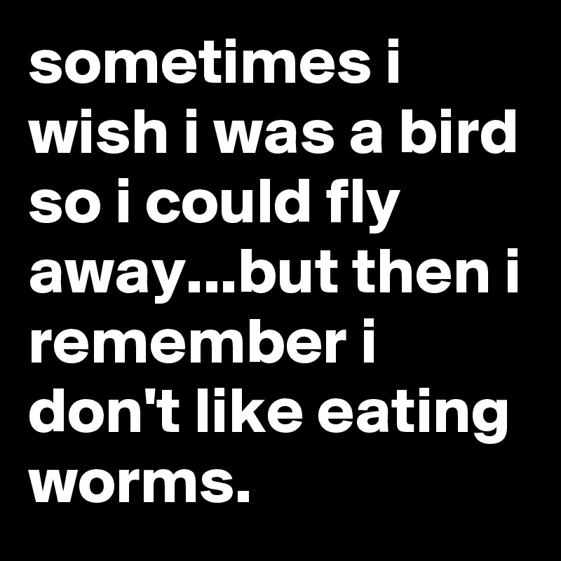 sometimes i wish i was a bird so i could fly away...but then i remember i don't like eating worms.