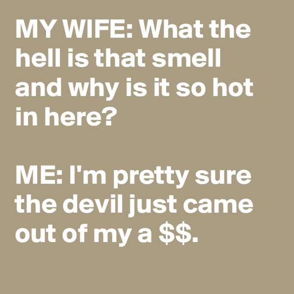 MY WIFE: What the hell is that smell and why is it so hot in here?

ME: I'm pretty sure the devil just came out of my a $$.
