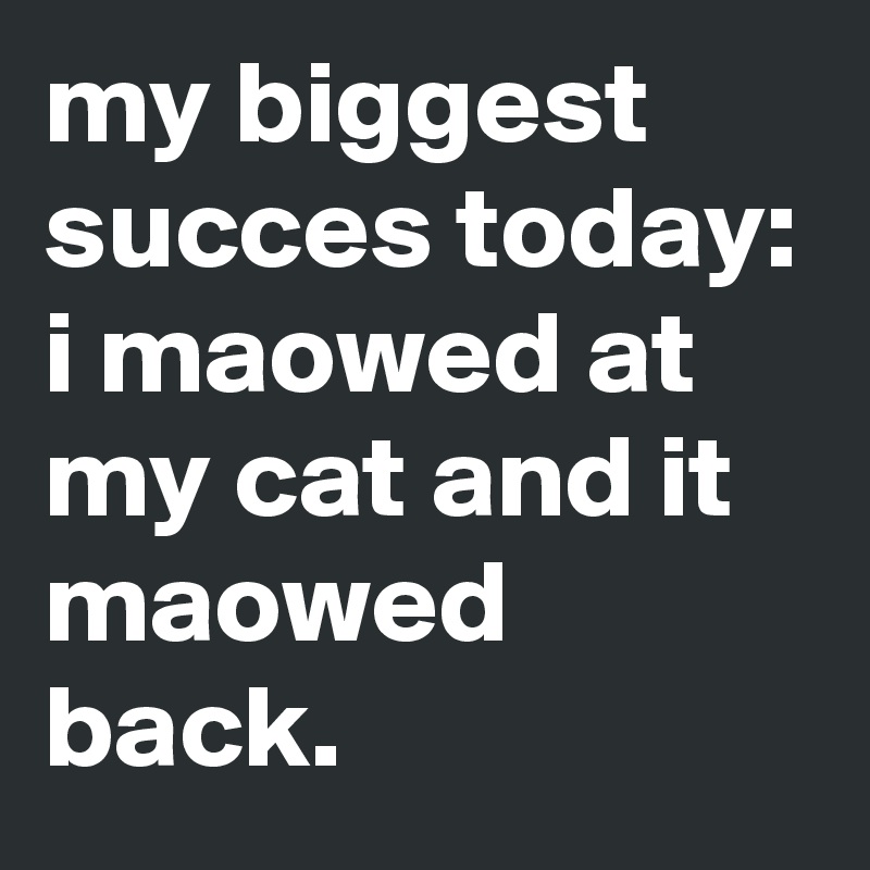 my biggest succes today: i maowed at my cat and it maowed back. 
