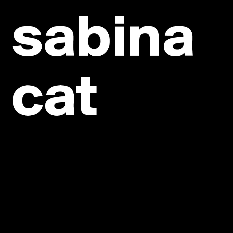 sabina cat
