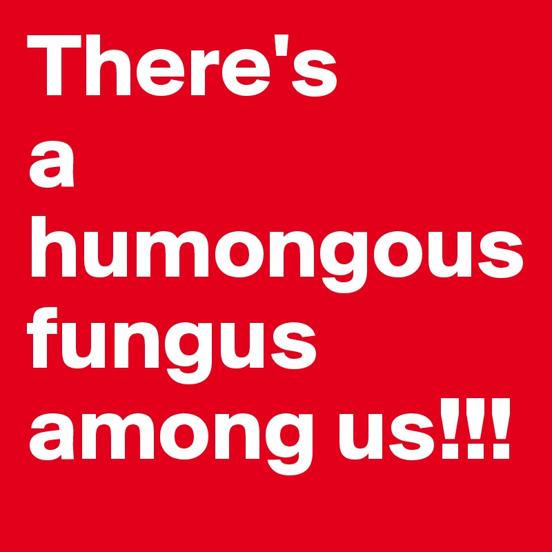 There's 
a
humongous
fungus 
among us!!!