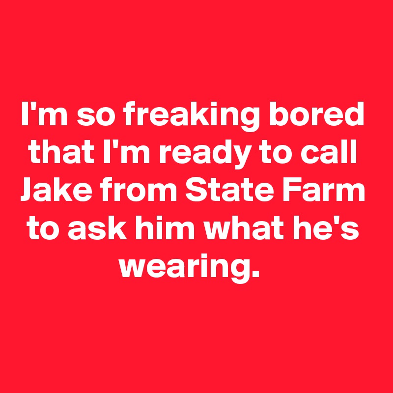 

I'm so freaking bored that I'm ready to call Jake from State Farm to ask him what he's wearing. 


