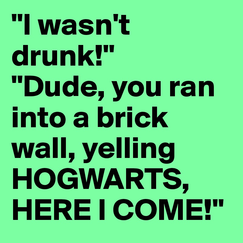 "I wasn't drunk!"
"Dude, you ran into a brick wall, yelling HOGWARTS, HERE I COME!"
