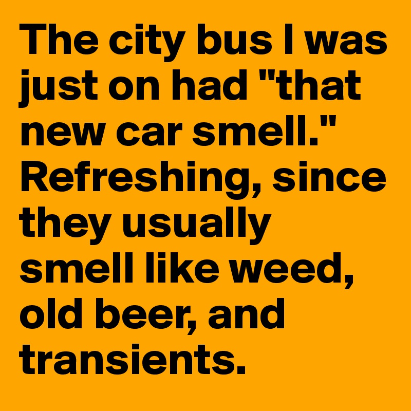 The city bus I was just on had "that new car smell." Refreshing, since they usually smell like weed, old beer, and transients.