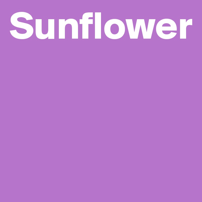 Sunflower


