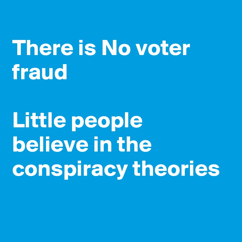 
There is No voter fraud

Little people 
believe in the
conspiracy theories 

