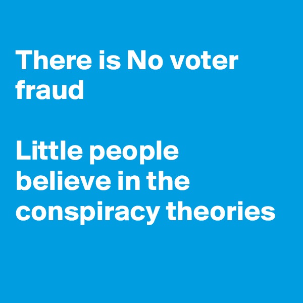 
There is No voter fraud

Little people 
believe in the
conspiracy theories 


