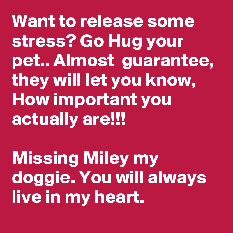 Want to release some stress? Go Hug your pet.. Almost  guarantee, they will let you know,  How important you actually are!!! 

Missing Miley my doggie. You will always live in my heart.