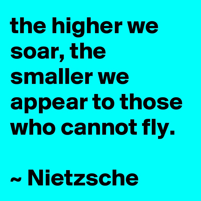 the higher we soar, the smaller we appear to those who cannot fly. 

~ Nietzsche