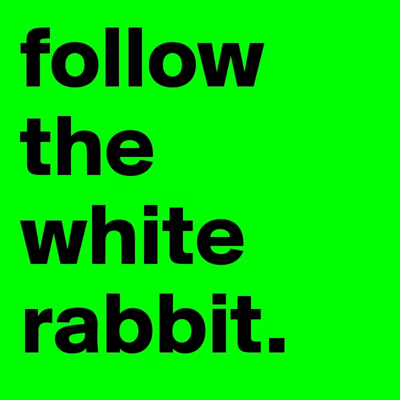 follow the white rabbit.