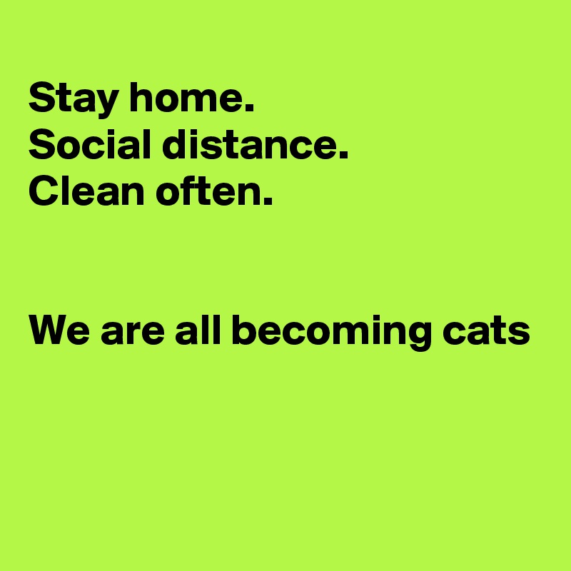 
Stay home.
Social distance.
Clean often.


We are all becoming cats


