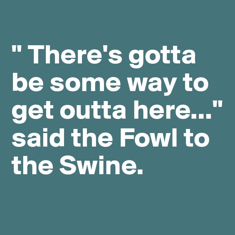 
" There's gotta be some way to get outta here..." said the Fowl to the Swine.
