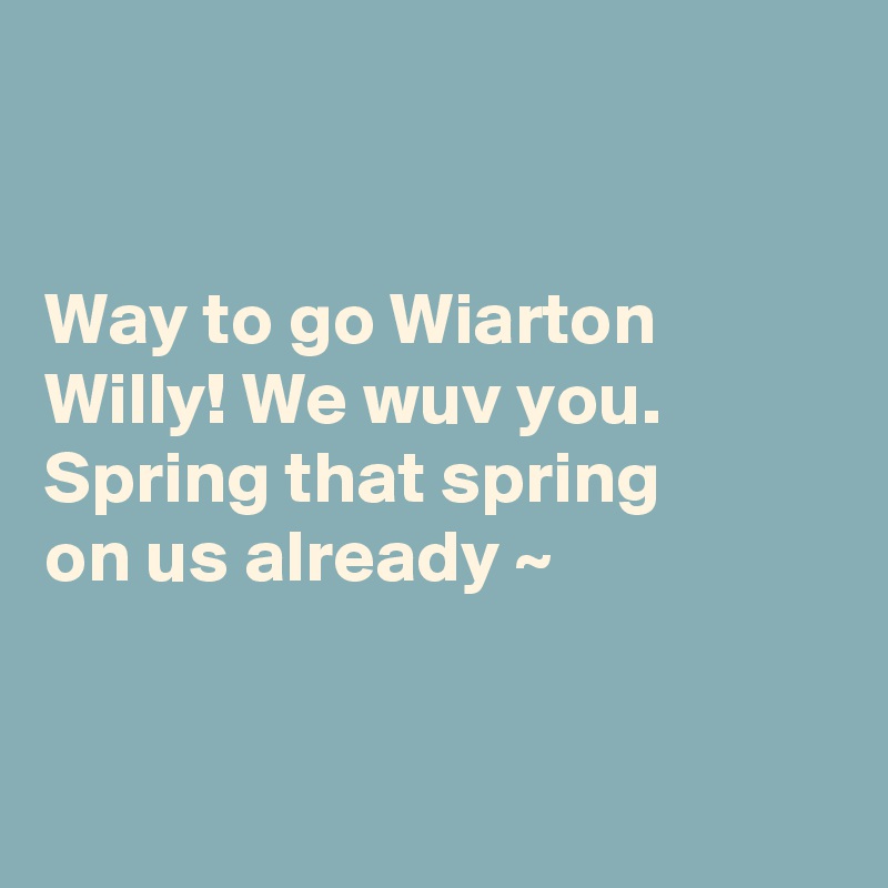 


Way to go Wiarton Willy! We wuv you. 
Spring that spring 
on us already ~ 


