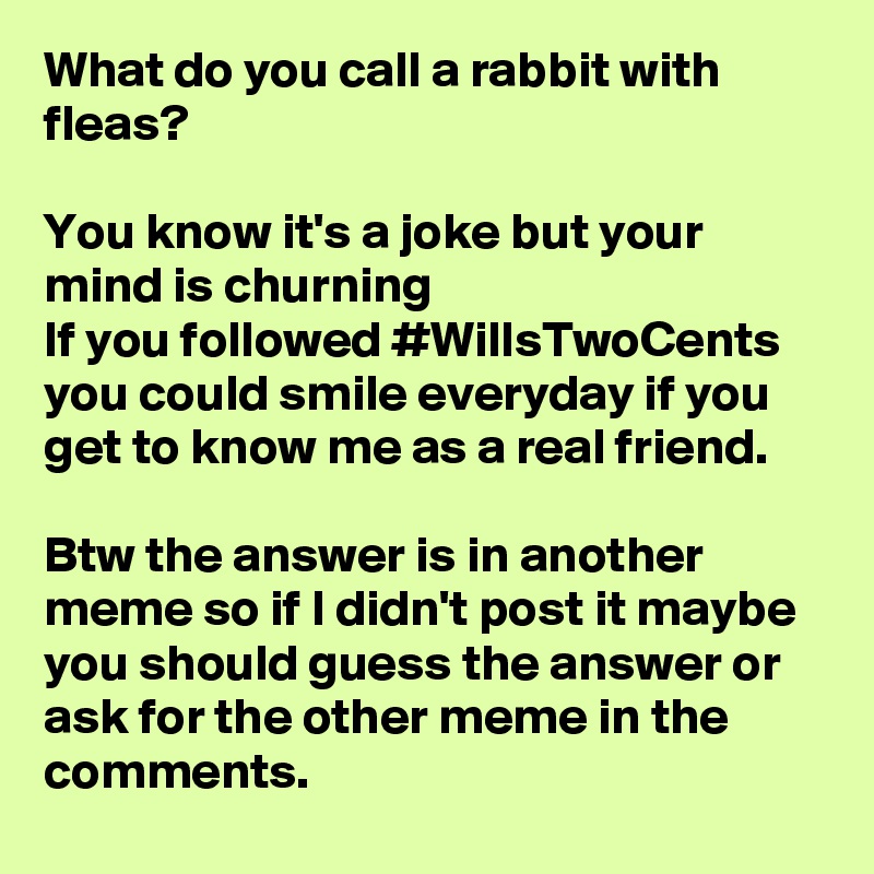 What do you call a rabbit with fleas? 

You know it's a joke but your mind is churning
If you followed #WillsTwoCents you could smile everyday if you get to know me as a real friend. 

Btw the answer is in another meme so if I didn't post it maybe you should guess the answer or ask for the other meme in the comments. 