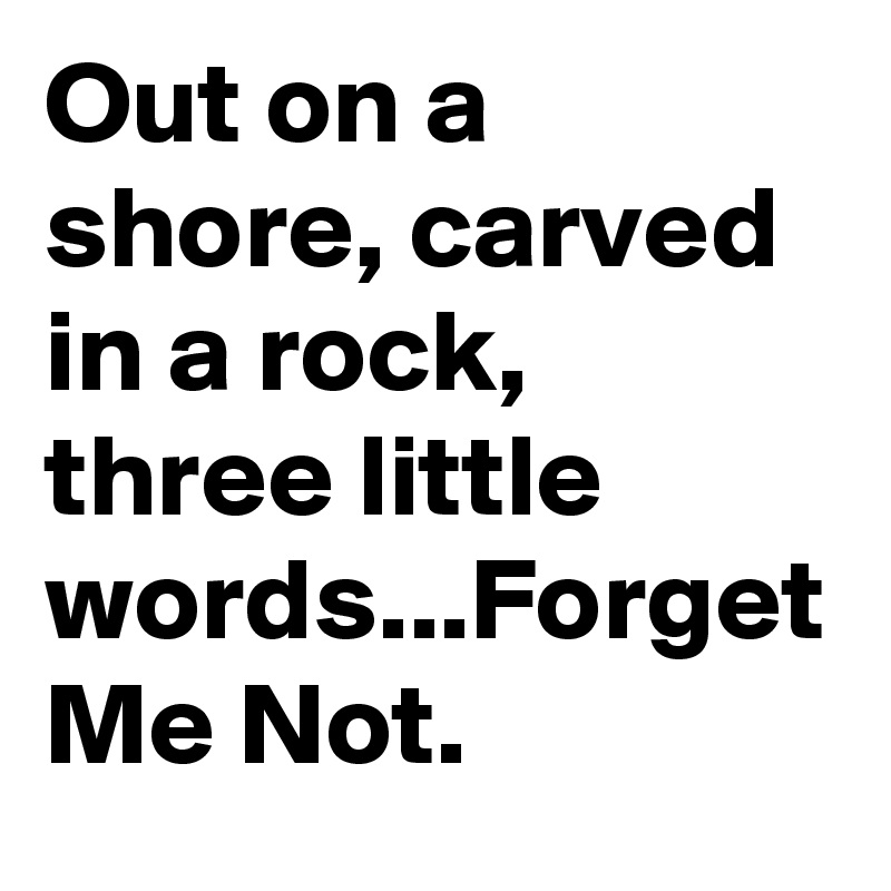 Out on a shore, carved in a rock, three little words...Forget Me Not.