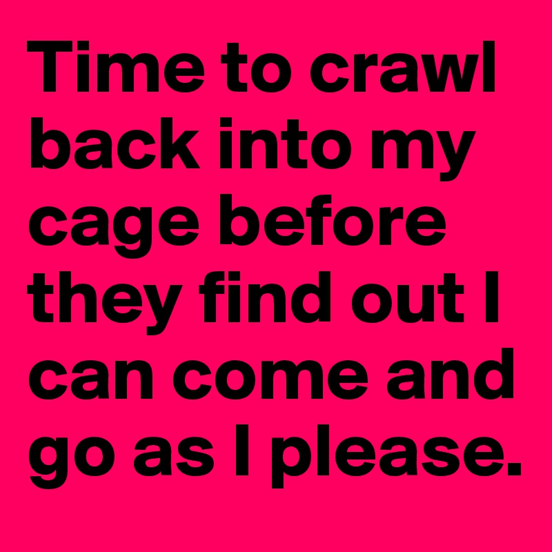 Time to crawl back into my cage before they find out I can come and go as I please.