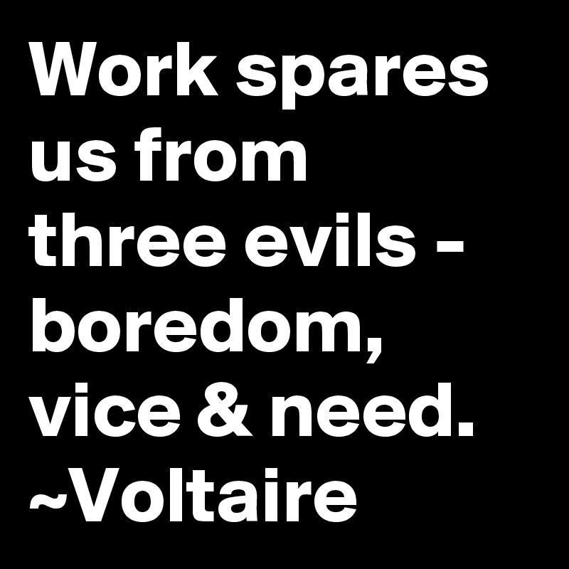 Work spares us from three evils - boredom, vice & need.
~Voltaire