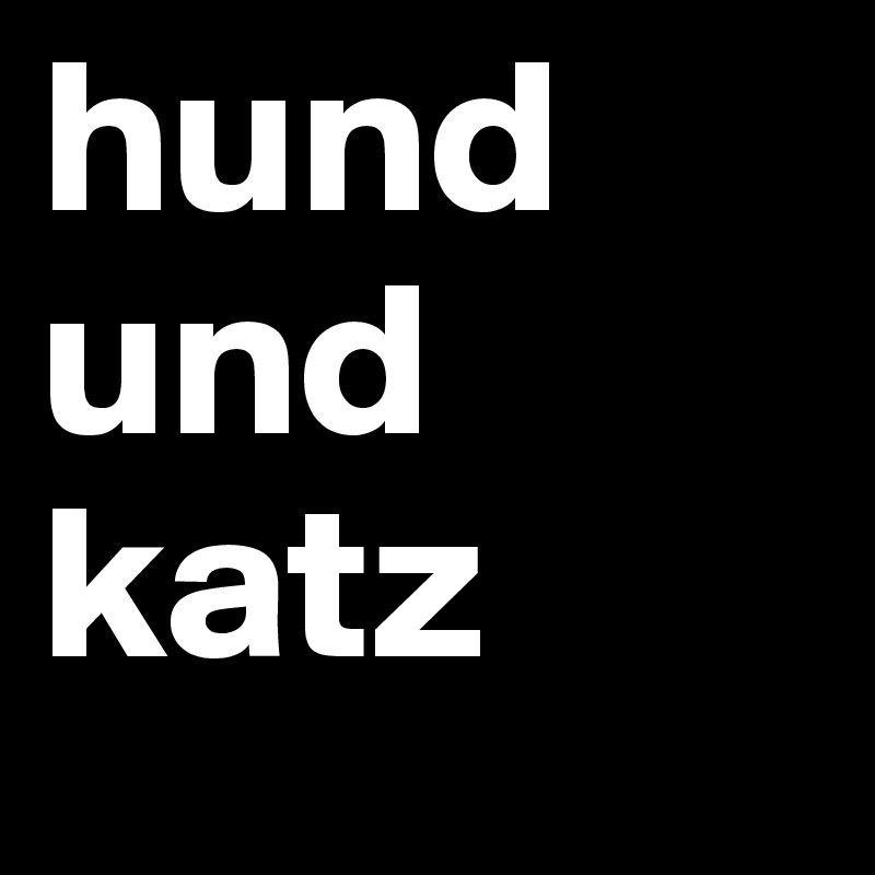 hund und katz