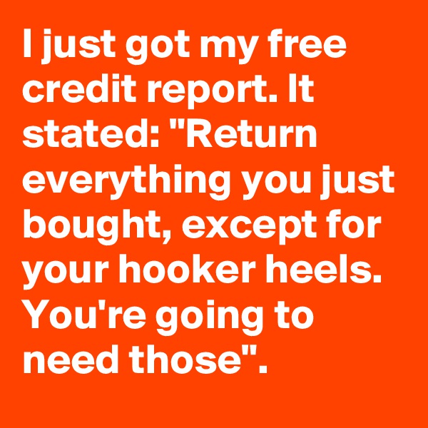 I just got my free credit report. It stated: "Return everything you just bought, except for your hooker heels. You're going to need those".