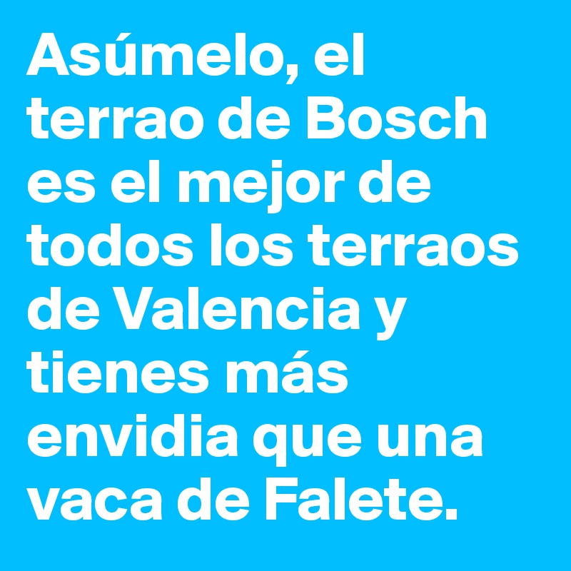 Asúmelo, el terrao de Bosch es el mejor de todos los terraos de Valencia y tienes más envidia que una vaca de Falete. 