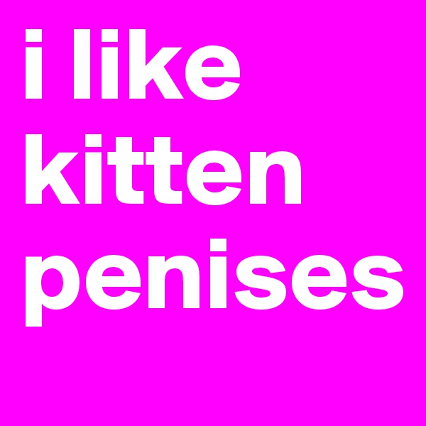 i like kitten penises 