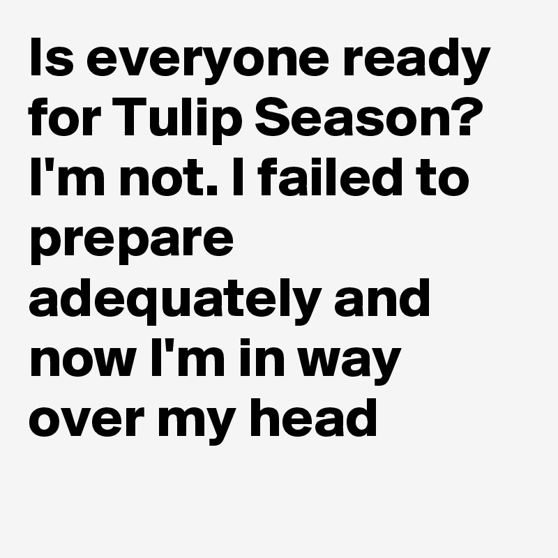 Is everyone ready for Tulip Season? I'm not. I failed to prepare adequately and now I'm in way over my head