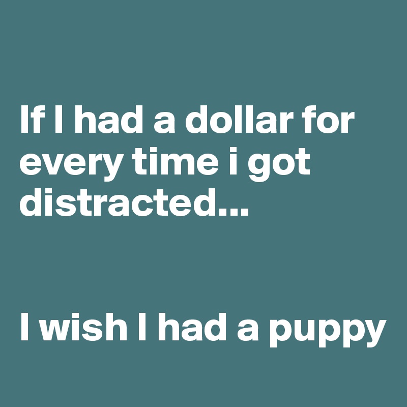 

If I had a dollar for every time i got distracted...


I wish I had a puppy