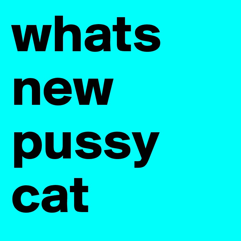 whats new pussy cat