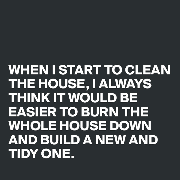



WHEN I START TO CLEAN THE HOUSE, I ALWAYS THINK IT WOULD BE EASIER TO BURN THE WHOLE HOUSE DOWN AND BUILD A NEW AND TIDY ONE.