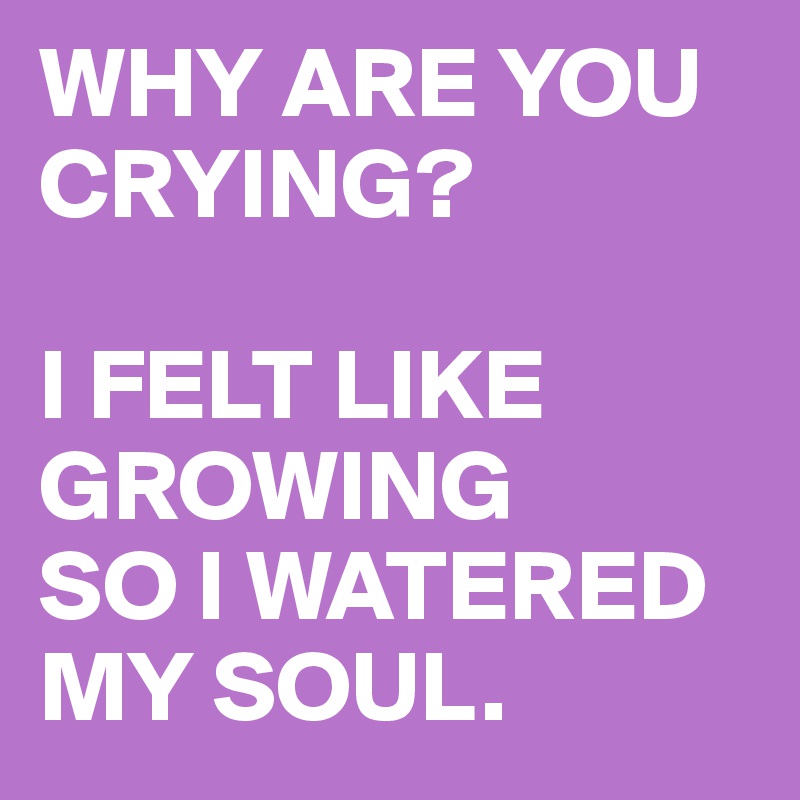 why-are-you-crying-i-felt-like-growing-so-i-watered-my-soul-post-by-busylizzie-on-boldomatic