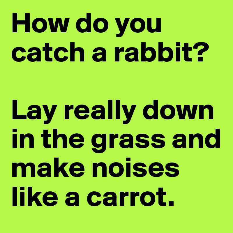 How do you catch a rabbit? 

Lay really down in the grass and make noises like a carrot. 