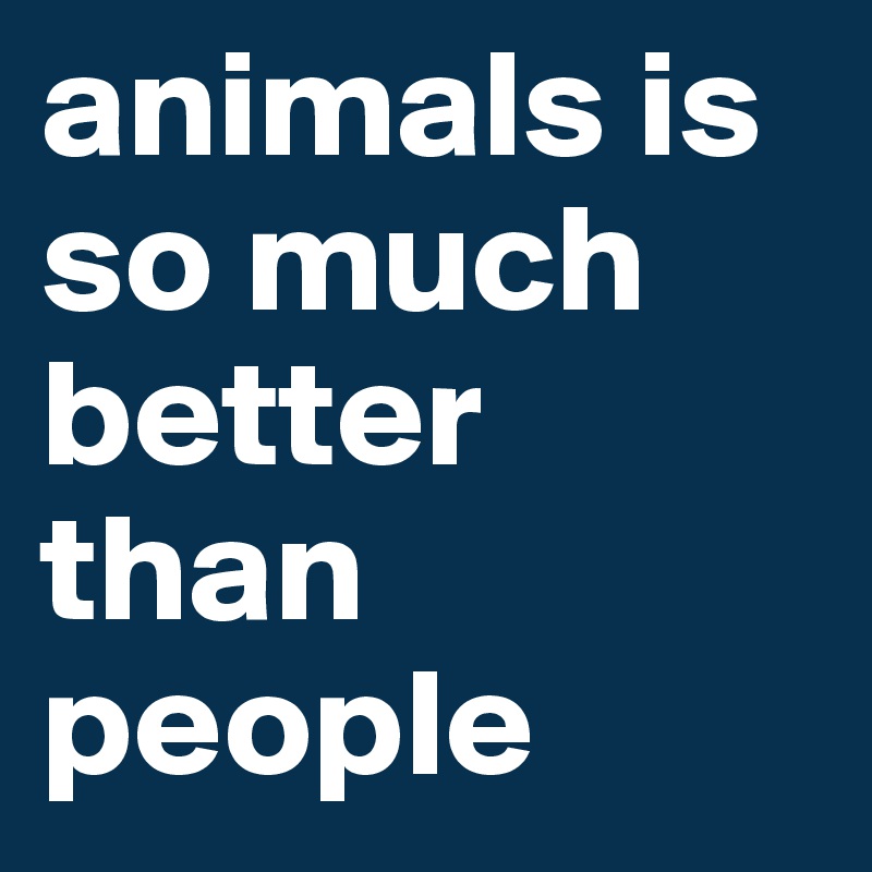 animals is so much better than people