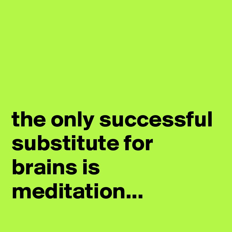 



the only successful substitute for brains is meditation...
